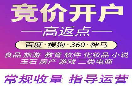 百度推广的成功案例：从零到一的突破