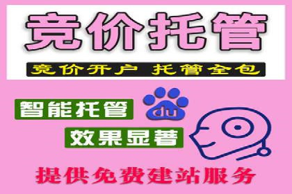 百度搜索结果优化：SEO推广的经典案例